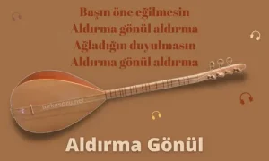 Aldırma Gönül Sözleri