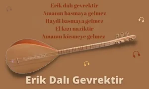 Erik Dalı Gevrektir Sözleri