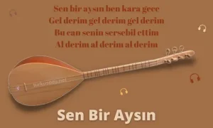 Sen Bir Aysın Sözleri